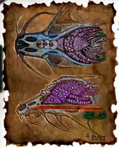 说明: E:\文件原档\未完成版\异怪之书(LoM)\2水中霸主\内部构造.files\内部构造1762.png